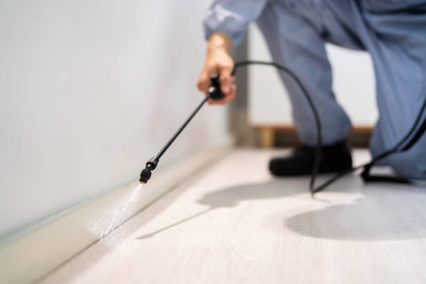 Licensed Fumigation Services service in Yoakum County County, TX - Nex Pest Control